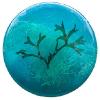 Mini Seaweed Soap Marine Blue Seaweed - 40g box of 44 pieces