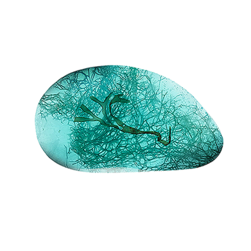 Savon moule transparent bleu algues loofah 100g carton de 30 pièces